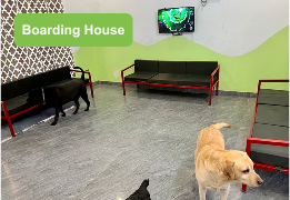 Boarding House